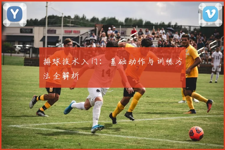 排球技术入门：基础动作与训练方法全解析
