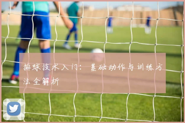 排球技术入门：基础动作与训练方法全解析
